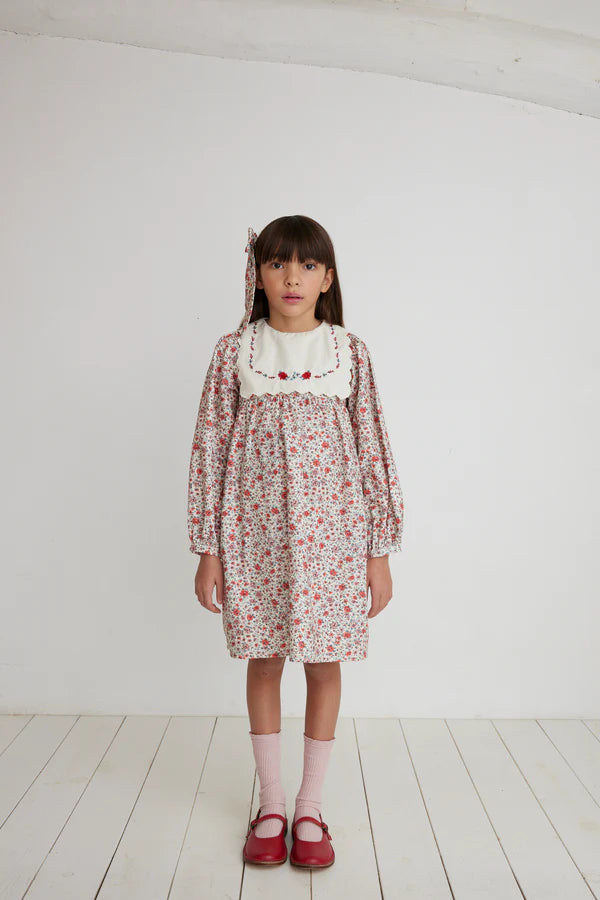 BEBE ORGANIC CLEMENTINE DRESS / SWEET ROSES - Milk + Bots
