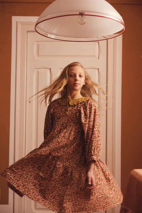 BEBE ORGANIC LYRA DRESS / PAINTED HEARTS