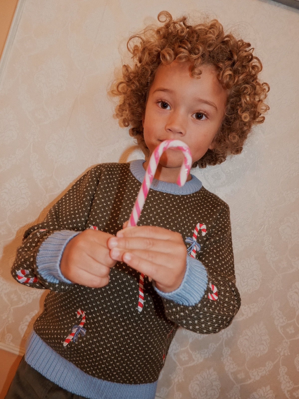 FLOESS JASPER SWEATER / CANDY CANE