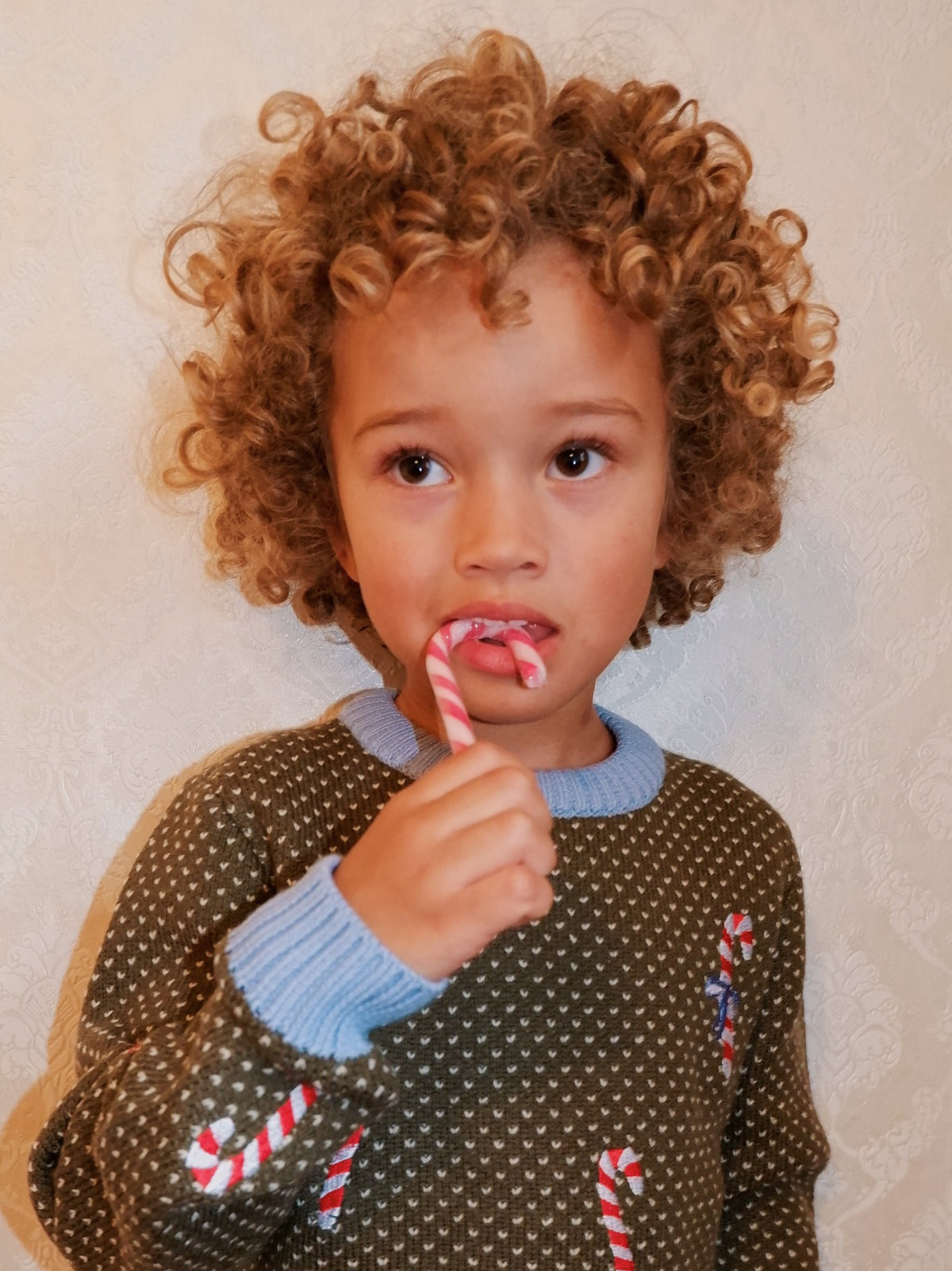 FLOESS JASPER SWEATER / CANDY CANE