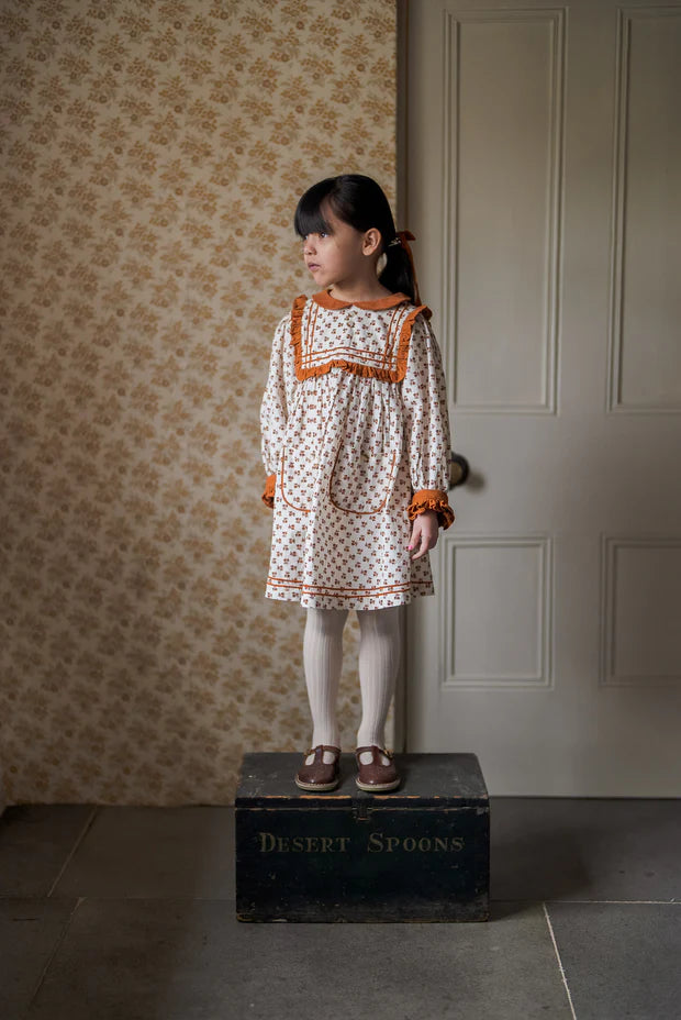 LITTLE COTTON CLOTHES MARIA DRESS / Abberley Floral