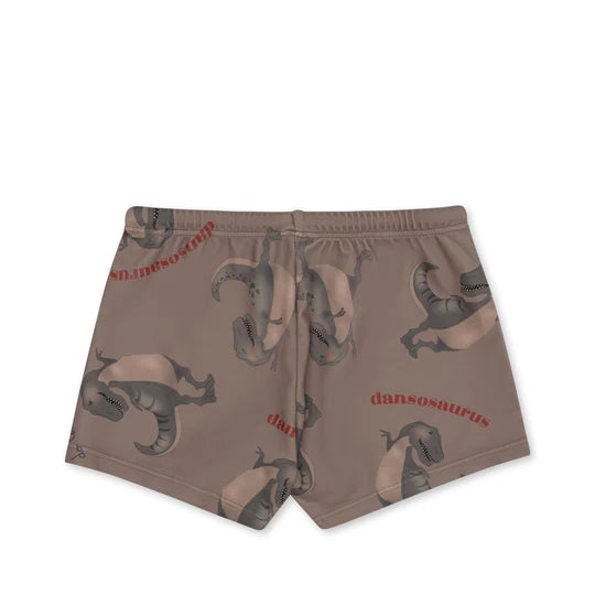 KONGES SLOJD ASTER SWIM SHORTS / DANSOSAURUS