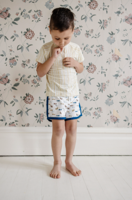 FIN &amp; VINCE BOARDIES / AVIATOR