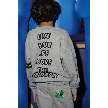 CARE BEARS SWEATSHIRT / SURFY