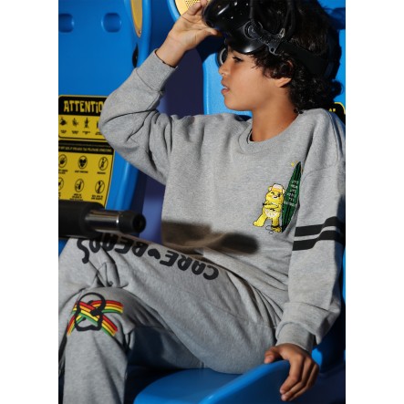 CARE BEARS SWEATSHIRT / SURFY