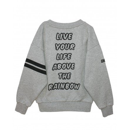 CARE BEARS SWEATSHIRT / SURFY